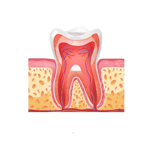 root-canal-treatment-in-harlur-bangalore